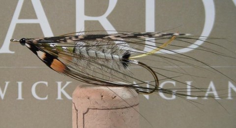 dee Zenith tied on Daiichi