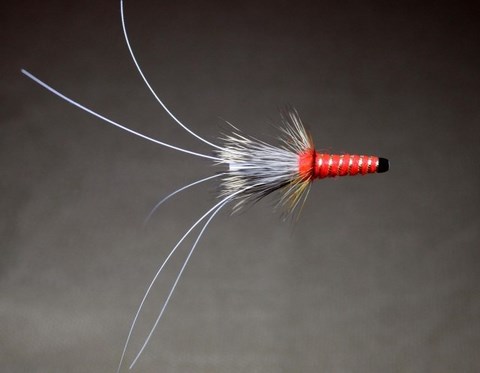 Red Frances (Francis)