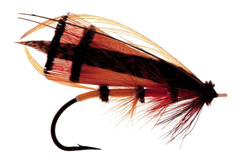 Garibaldi Fly