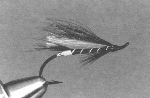 GEORGES FLY (modifiée)