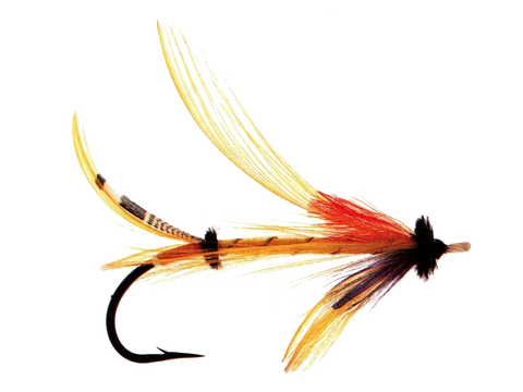 Golden Butterfly