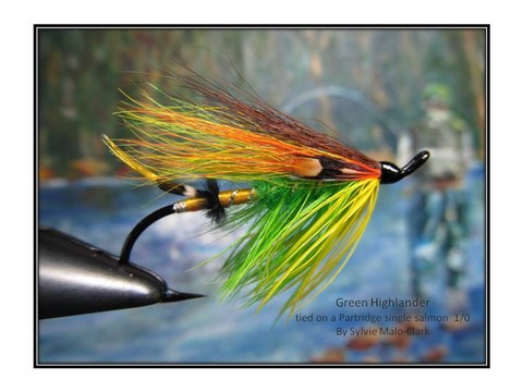 green highlander for fly fusion