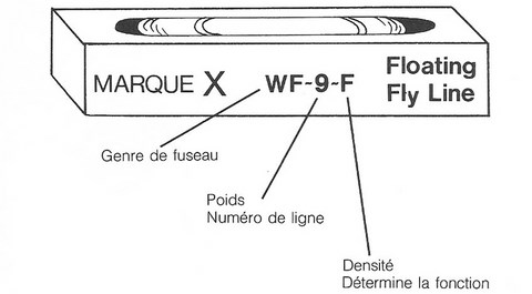 La ligne