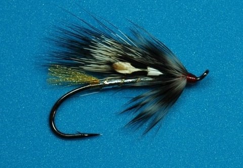 h-w; Silver Rat