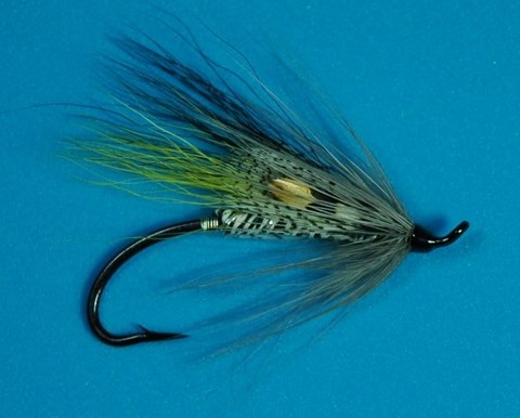 h-w; Tiger Ghost