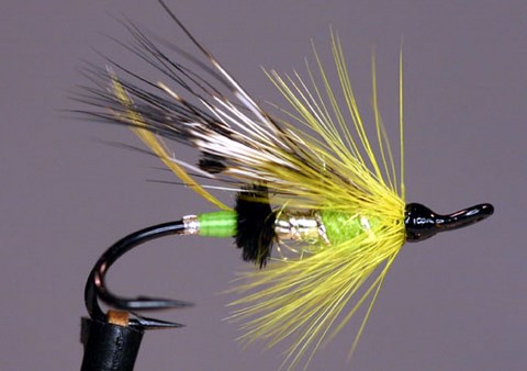 Hazelwoods Special, Création Austin Hazelwood