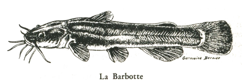 la Barbotte