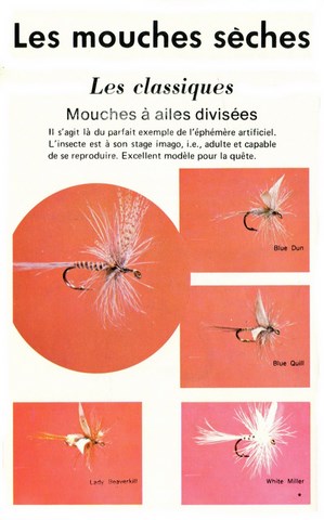 Les mouches sèches