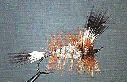 Les Mouches de Paul Leblanc
