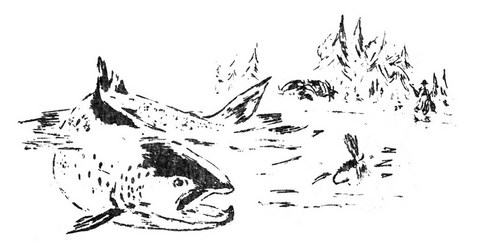PARLONS D'ÉQUIPEMENT DE PÊCHE AU SAUMON