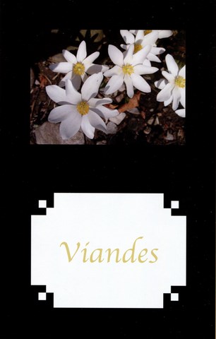 Viandes