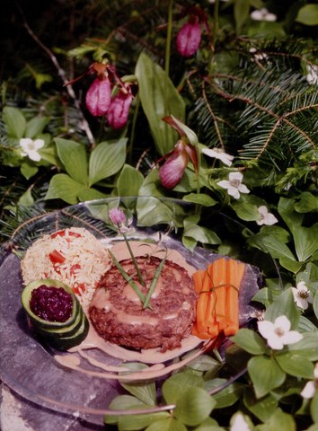 Bifteck kambourgeois de bison, sauce Bercy