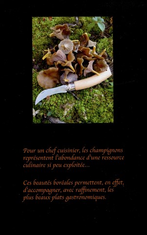 Champignons