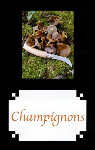 Champignons