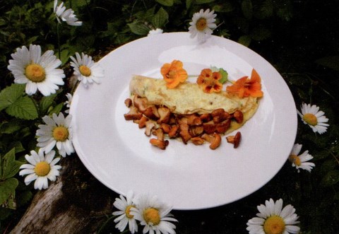 Omelette aux bolets jaunes des pins