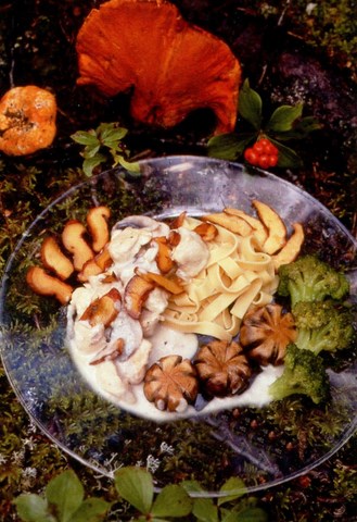 Poulet à la champignonoise aux champignons homard