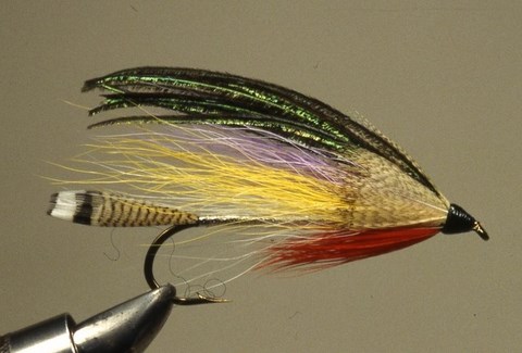 Photos-Montage La Juneau Smelt