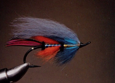 La Dual Salmo Gaston Roy Matane (Qc)