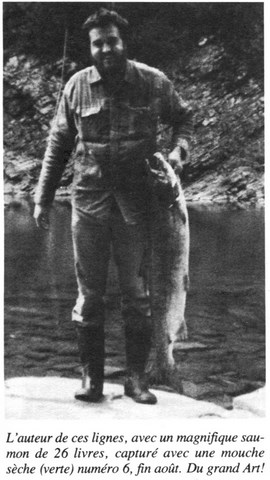 La Force du Nombre Par Denis Saint-Yves