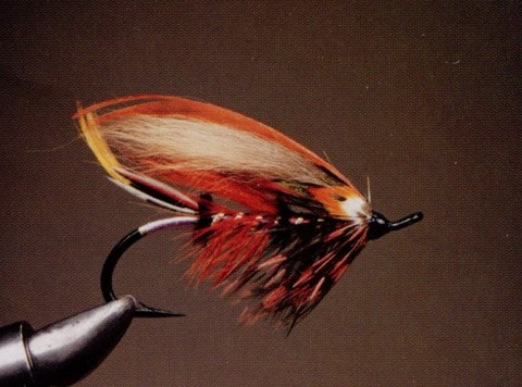 La Guinea Red Lady Step Gaston Roy Matane (Qc)