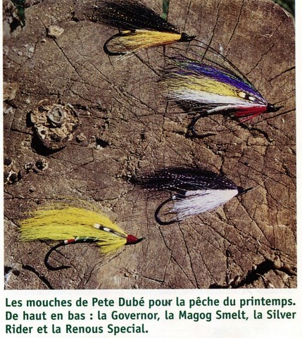 Renous Spécial, la Magog Smelt, Silver Rider et la Governor