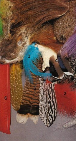 La pose des ailes sur une mouche pour la pêche