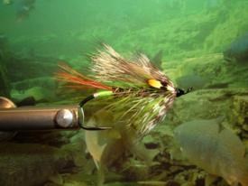 La Serge Vincent (SV)