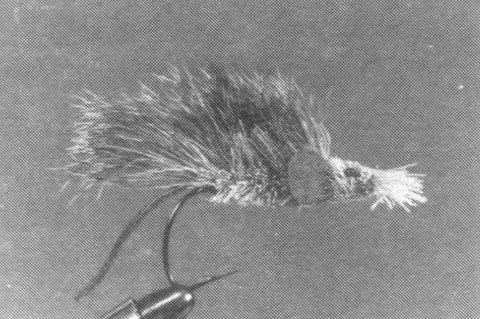 LA SOURIS