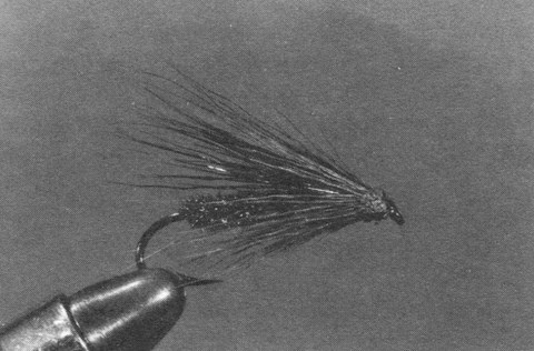 Le MUDDLER DE LA CHAUDIERE