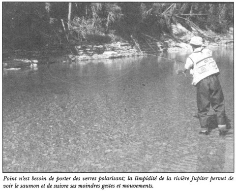 Le saumon à Anticosti