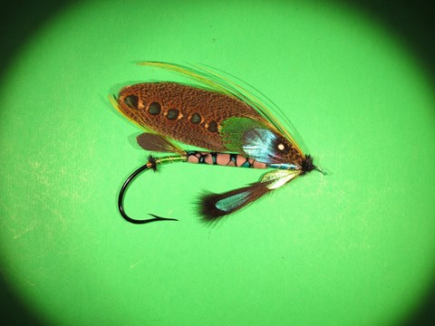 Miss Green