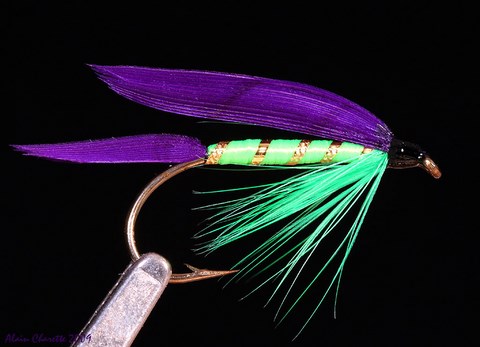 mouches de plume Alain Charette