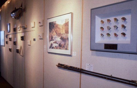 Mouches par Paul Bean