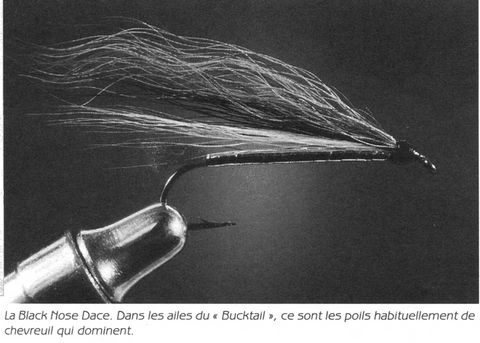 Pêcher le Saumon avec des Streamers
