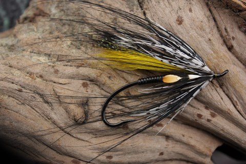Picasse spey