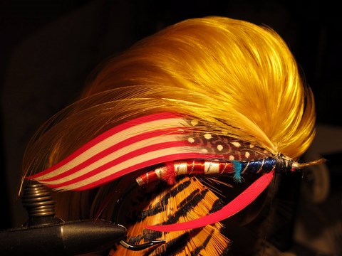 President Trump fly