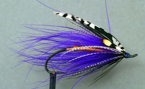 purple spey