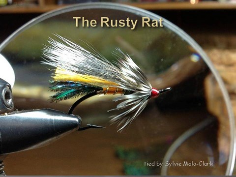 Rusty rat