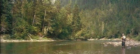 Rivières à Saumon, Côte-Nord, Anticosti, Gaspésie