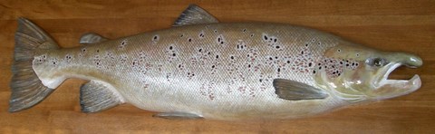 Sculpture d'un Saumond André Boucher