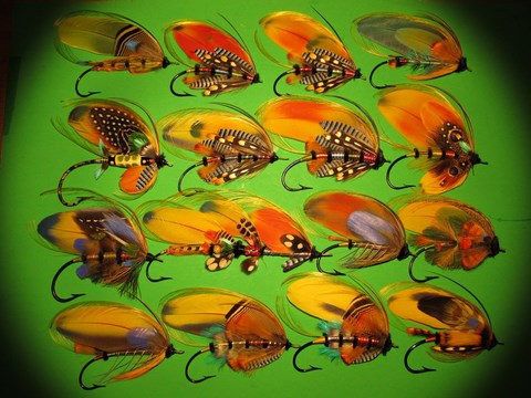 Set Macaw flies