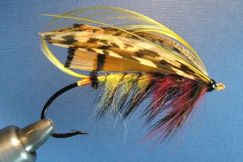 The Snowie's #1 for the Shin