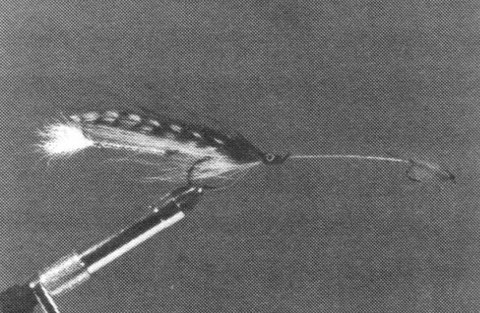 TRIDEM GILTÉ