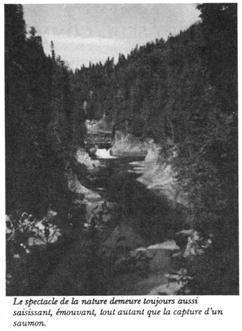 Une Journée sans Saumon