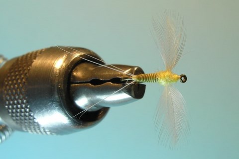 Yellow PMD Spinner, Hen Hackle Wings