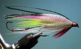 Bucktail Governor Aiken