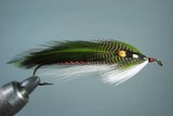 Green Drake