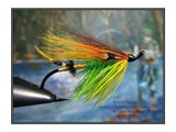 green highlander for fly fusion