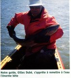 Gilles Dubé guide de pêche