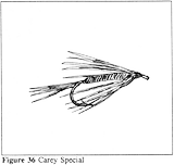 ​CAREY SPECIAL (CAREY PEACOCK)